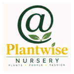 Plantwise Nursery